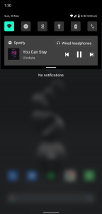 Pocophone-F1-Android-11-5