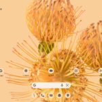 Androif 12 l homescreen