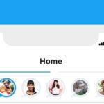 Twitter-Fleet-or-Story