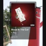 Spotify-users-unable-to-share-Canvas-to-Instagram-Stories