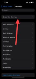 capturing-photos-and-videos-on-iphone-using-voice-commands
